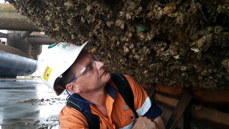 man inspecting IMS on vessel